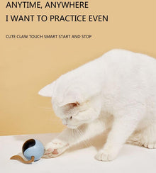 Fofos Two Lucky Raccoon Magic Ball Cat Toy Electric Intelligent Automatic Funny Cat Ball Relieve Boredom And Bite Led Light