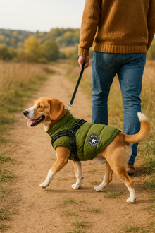 🐾 Arnés impermeable con chaleco integrado