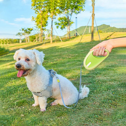 🚶‍♂️CORREA EXTENSIBLE- Aventuras divertidas y seguras con color.