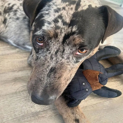 🐻‍❄️ JUGUETE INTERACTIVO - Lo mantiene ocupado, feliz y lejos de tus tenis favoritos.