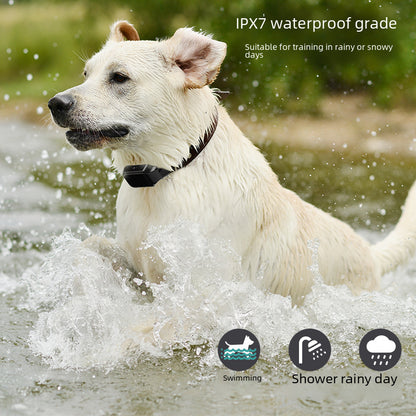 🐶 COLLAR DE ENTRENAMIENTO INTELIGENTE - Entrenamiento suave con vibración y sonido, sin castigos.