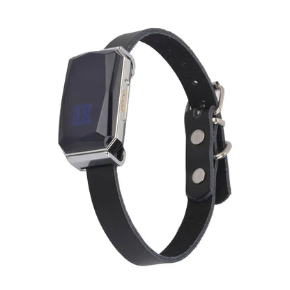 📡 SMART GPS TRACKER COLLAR  - Collar con GPS integrado para saber siempre dónde anda.