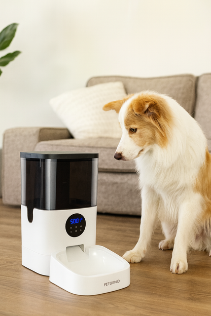 📡ALIMENTADOR AUTOMATICO-  Alimentación inteligente, conexión total con tu peludo.